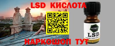 бошки Кингисепп
