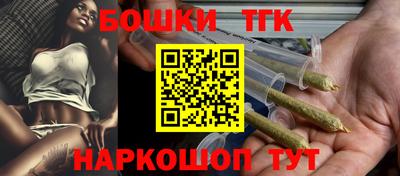 бошки Кингисепп