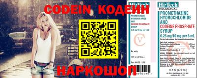 бошки Кингисепп
