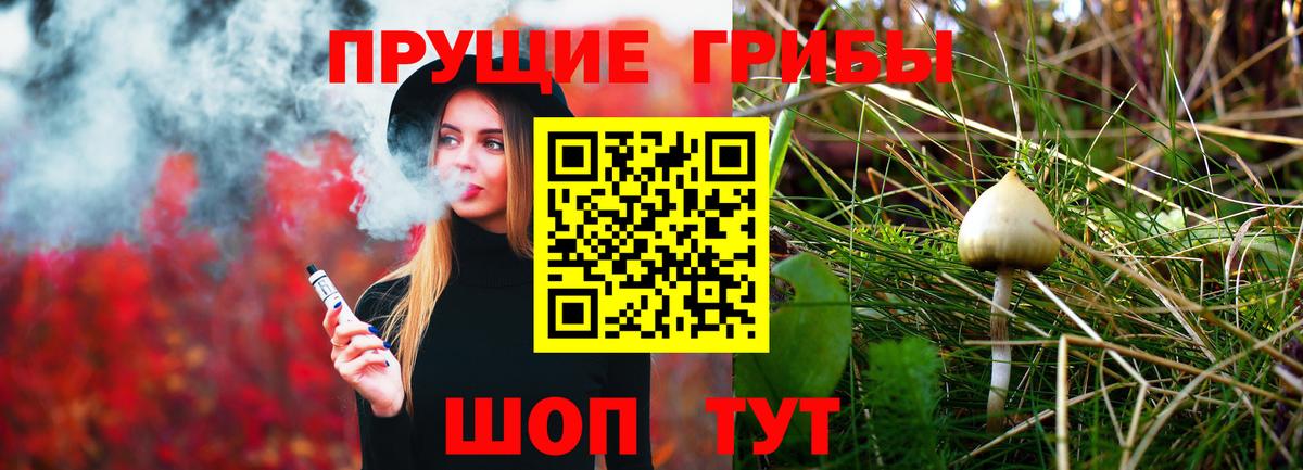 Псилоцибиновые грибы GOLDEN TEACHER  Вход с VPN  Красноуфимск 