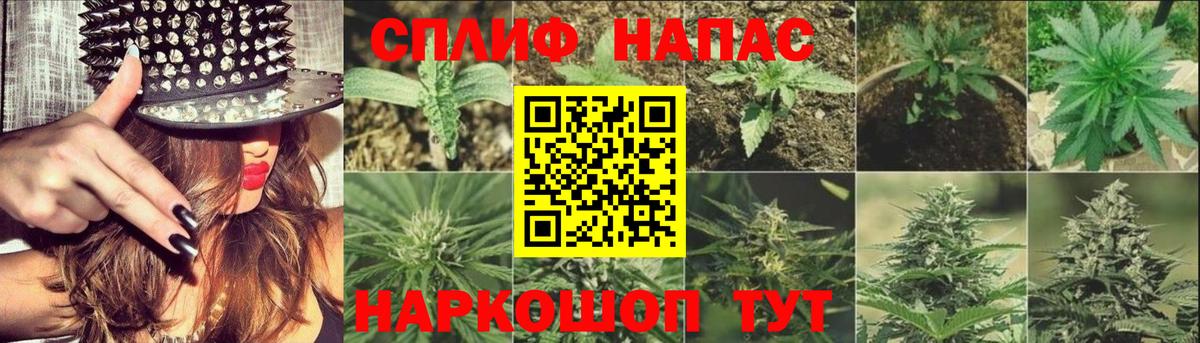 Бошки Шишки планчик  Конопля марихуана  Красноуфимск  Вход с VPN  Конопля THC 21%  Шишки марихуана MAZAR 